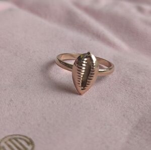 Sheila Fajl Gold Ring Buzio Cowrie Shell Size 6